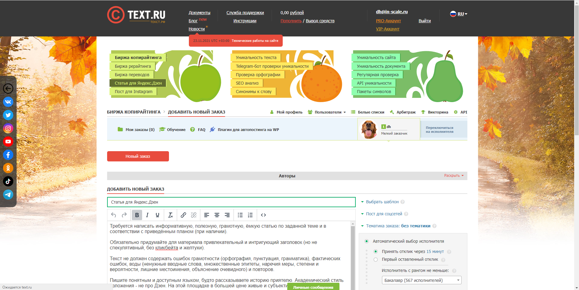 Text.ru новый заказ